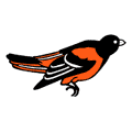 The Baltimore Orioles Ornithologically Correct Bird (1989-97)